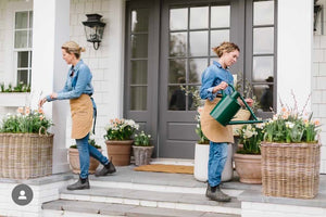 
                  
                    STOOP Spring Planter Workshop
                  
                