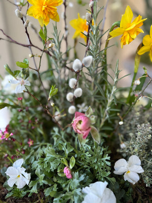 
                  
                    STOOP Spring Planter Workshop
                  
                