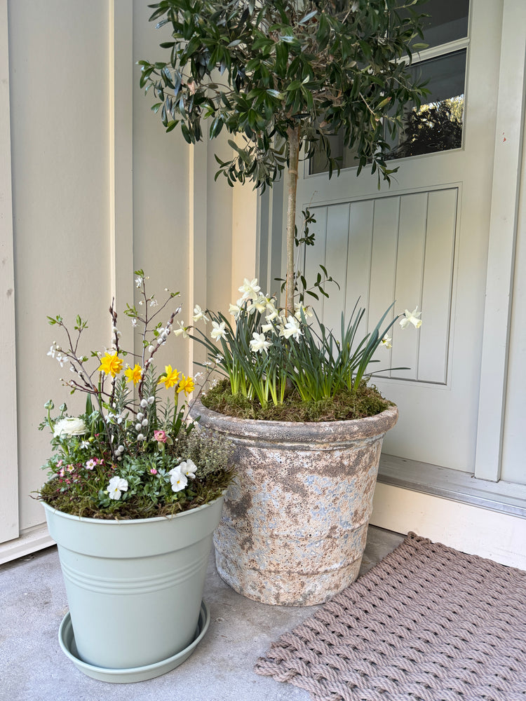 
                  
                    STOOP Spring Planter Workshop
                  
                