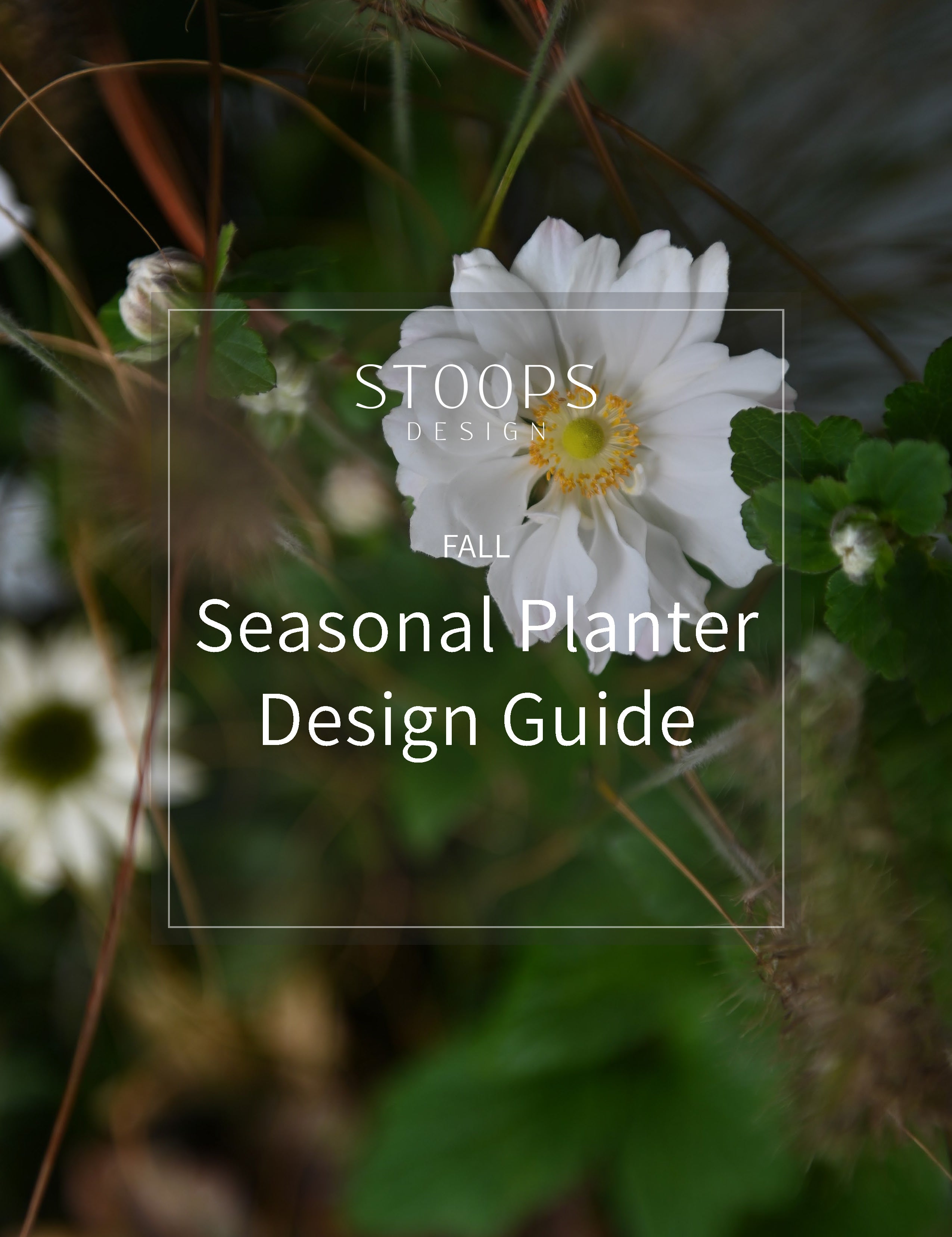 STOOPS Planter Design Guide - FALL