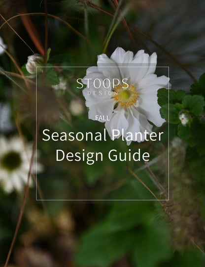 STOOPS Planter Design Guide - FALL