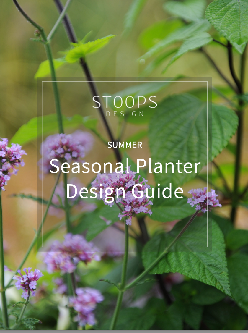 STOOPS Planter Design Guide - SUMMER – STOOPS Design Vancouver